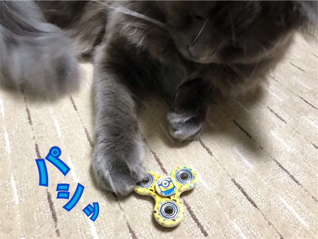 f:id:bellbelona39:20180106173153j:image