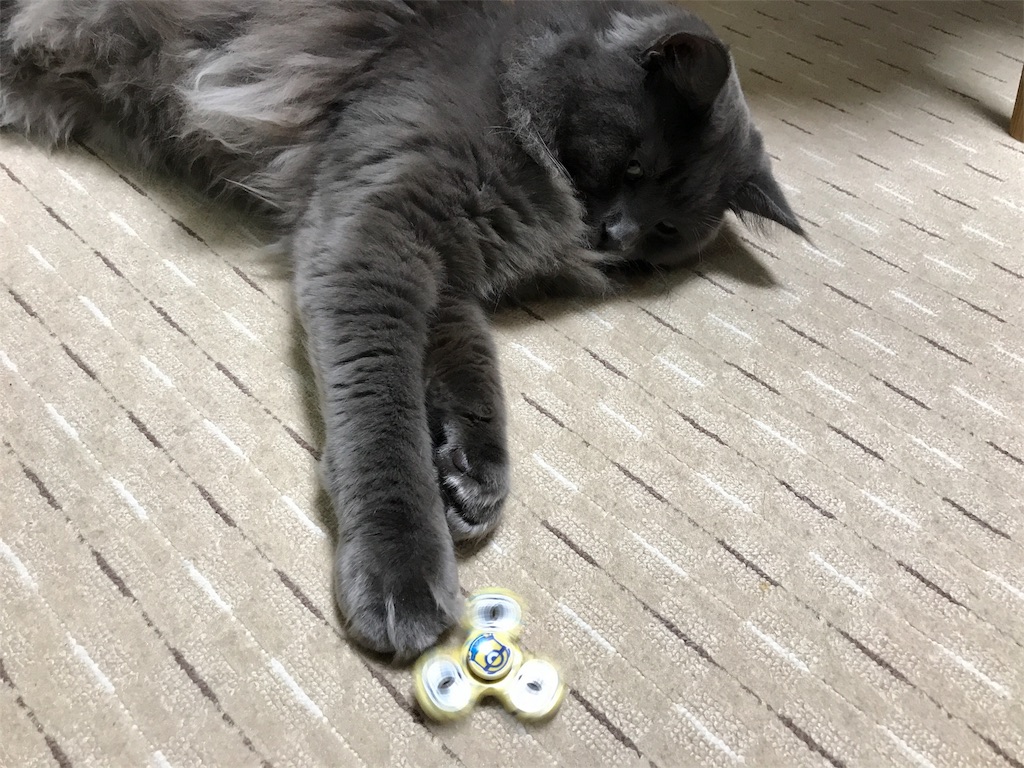 f:id:bellbelona39:20180106173300j:image