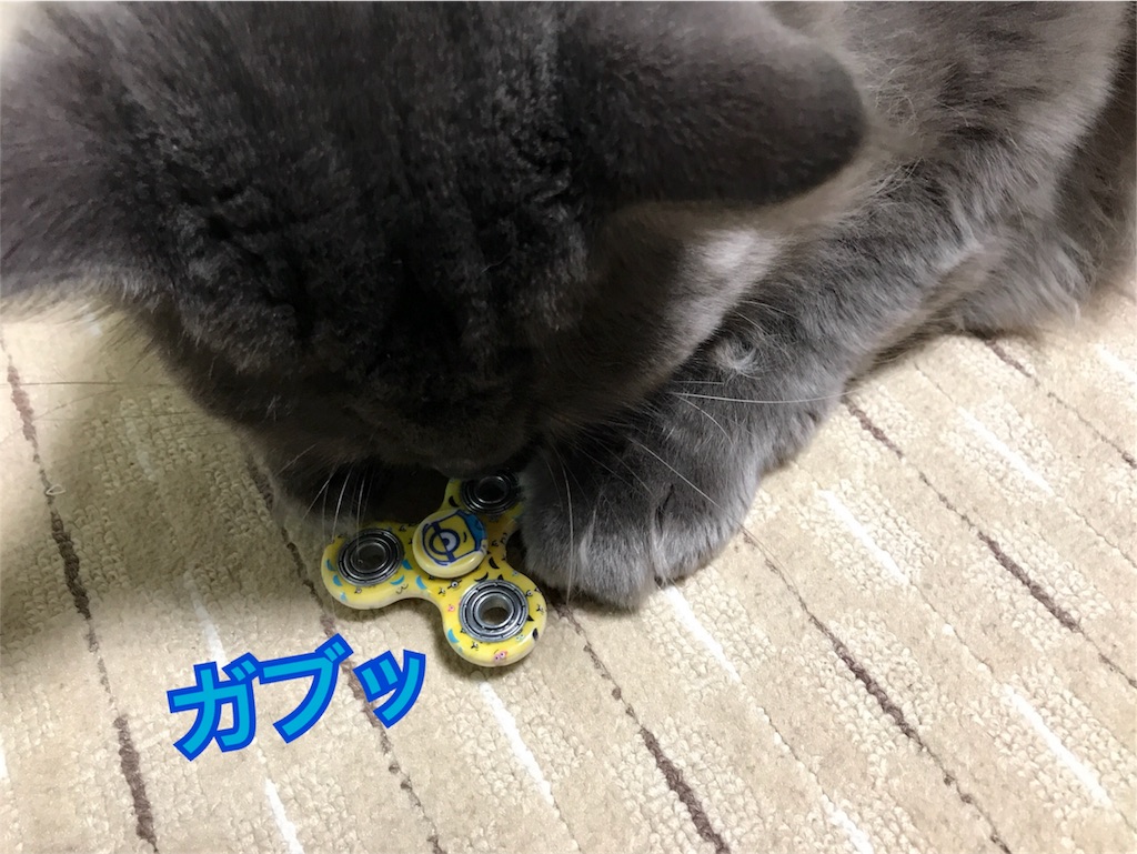 f:id:bellbelona39:20180106173536j:image