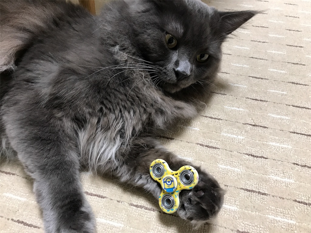 f:id:bellbelona39:20180106173606j:image