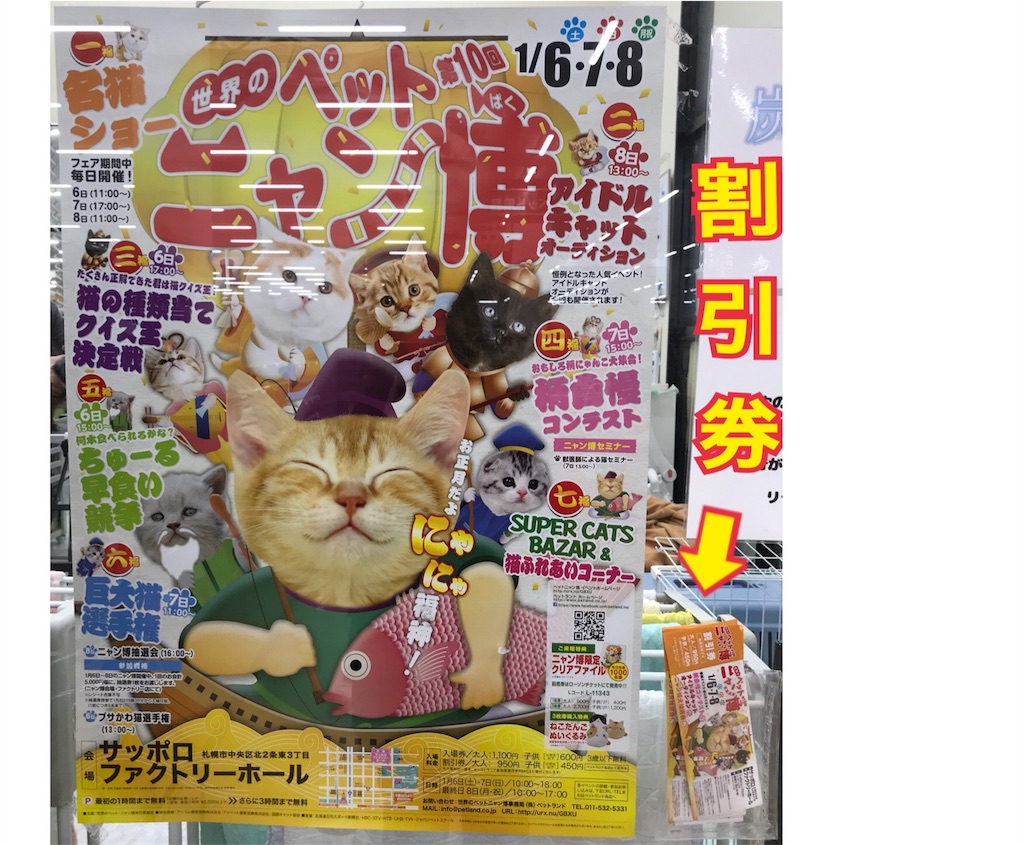 f:id:bellbelona39:20180107154901j:image