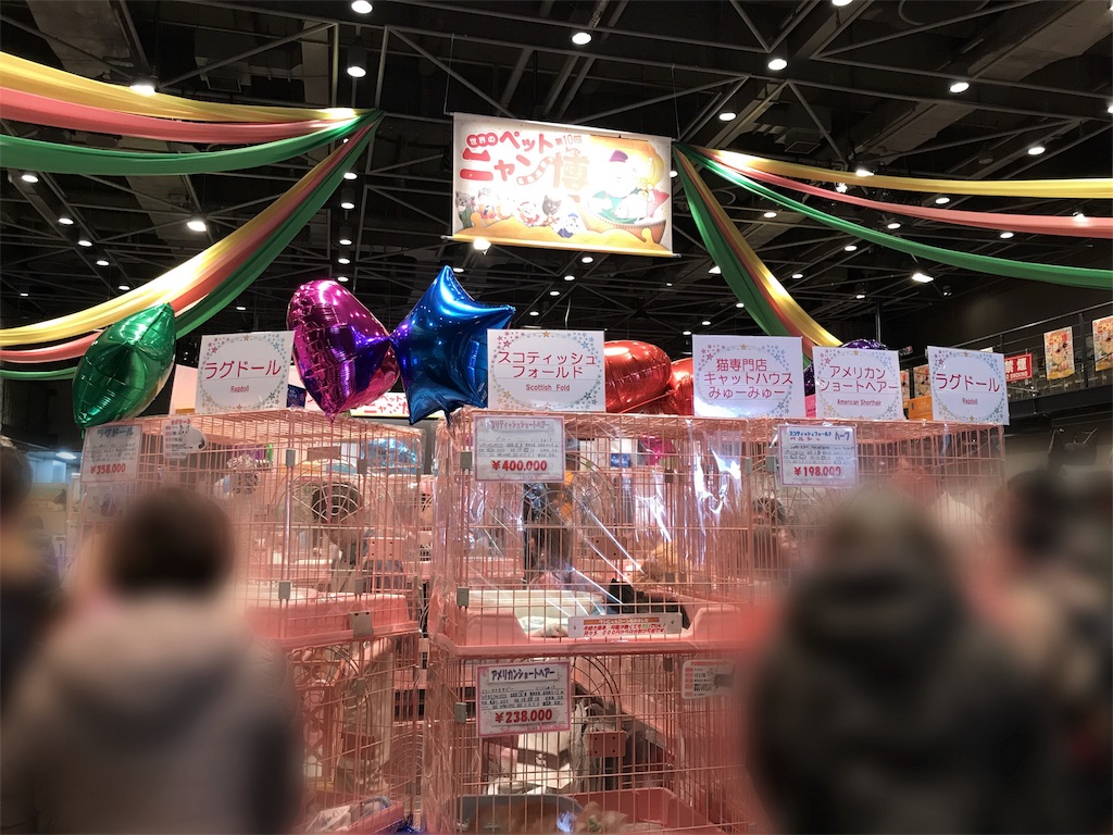 f:id:bellbelona39:20180107161110j:plain