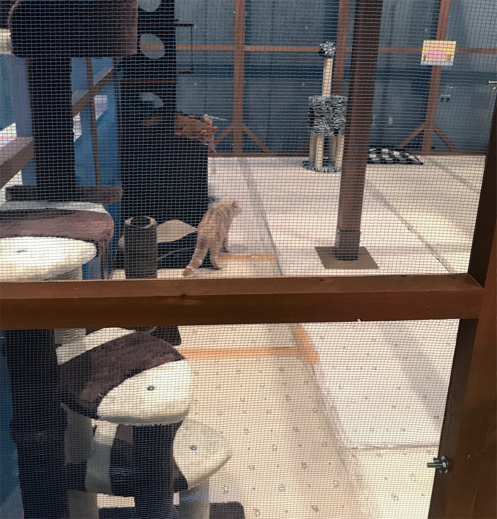 f:id:bellbelona39:20180107164848j:plain