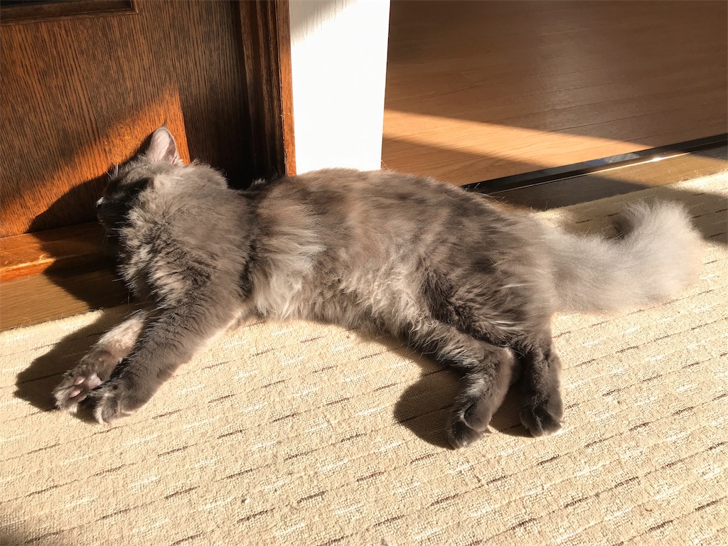 f:id:bellbelona39:20180110065958j:image