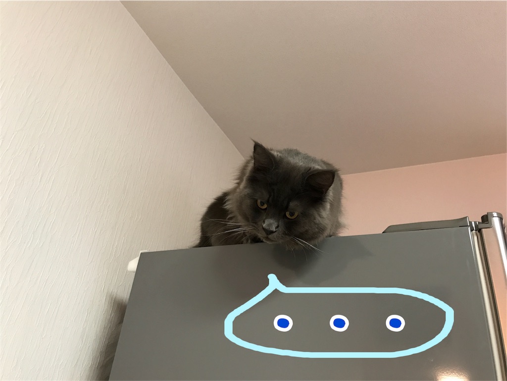 f:id:bellbelona39:20180111080805j:image