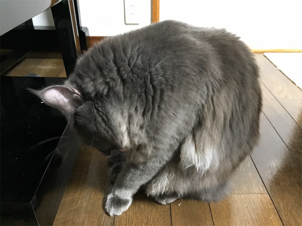 f:id:bellbelona39:20180112080914j:image