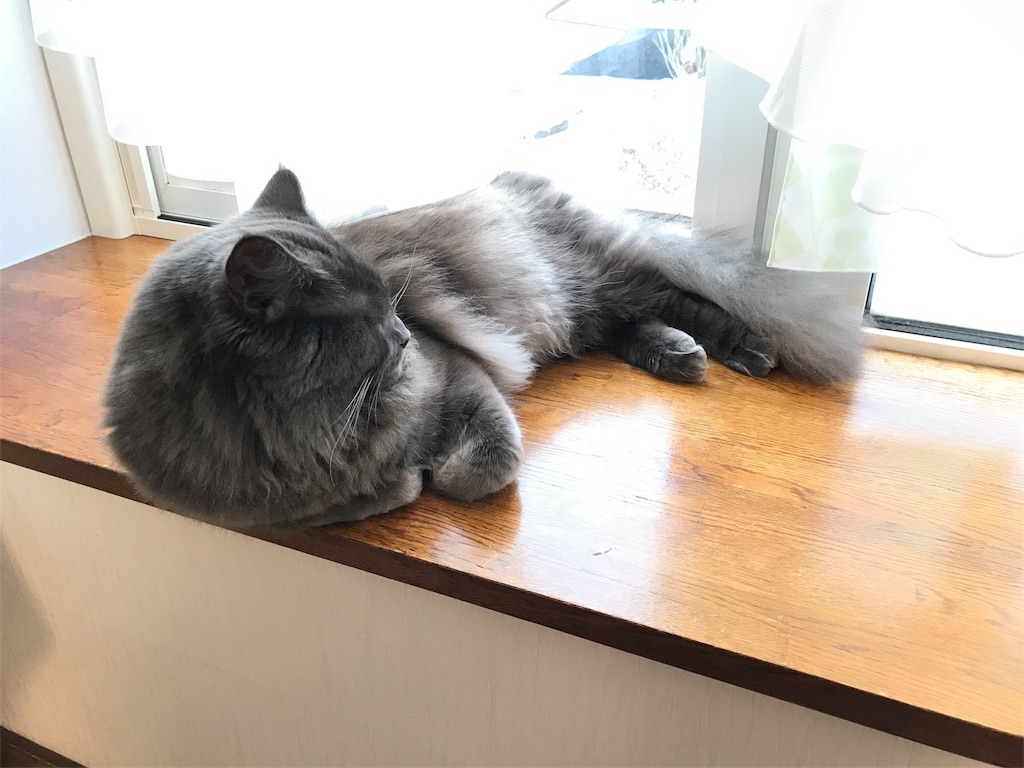 f:id:bellbelona39:20180112081506j:image