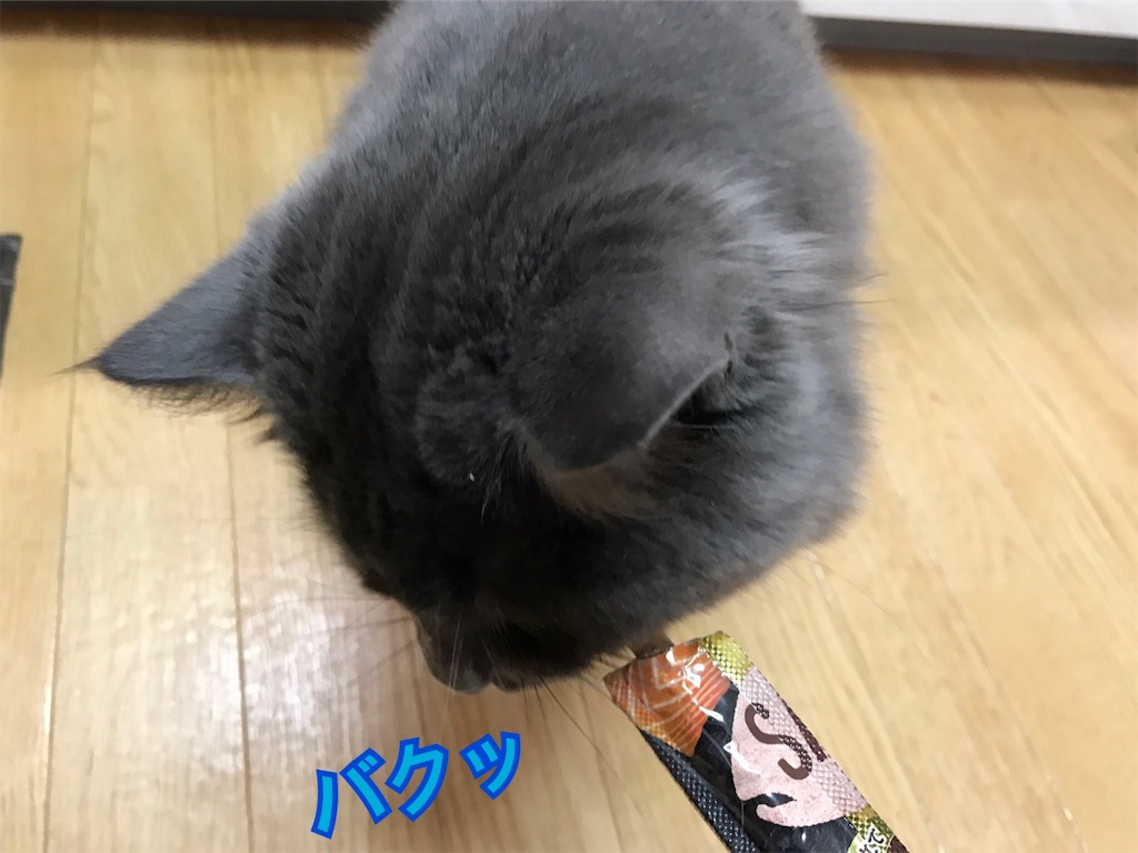 f:id:bellbelona39:20180113074426j:image f:id:bellbelona39:20180113074426j:image