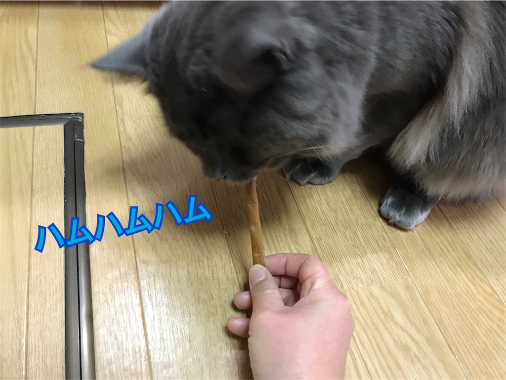 f:id:bellbelona39:20180113075534j:image f:id:bellbelona39:20180113075534j:image