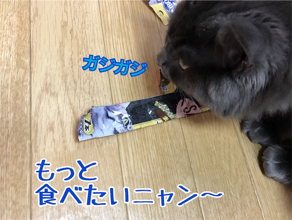 f:id:bellbelona39:20180113080149j:image f:id:bellbelona39:20180113080149j:image