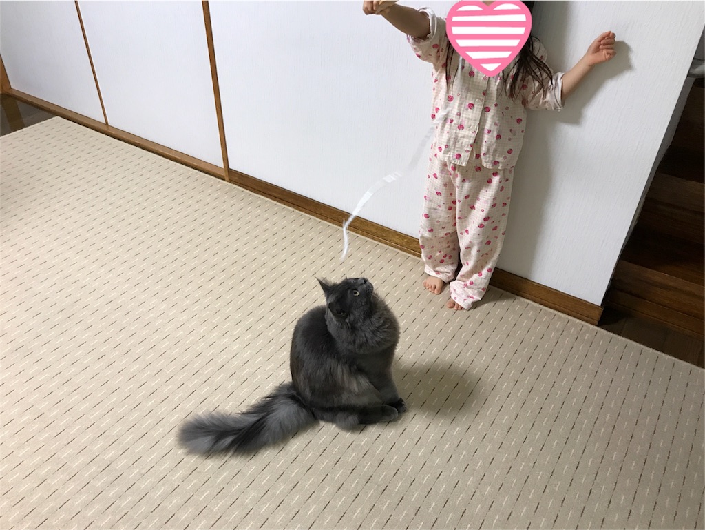 f:id:bellbelona39:20180118084133j:image