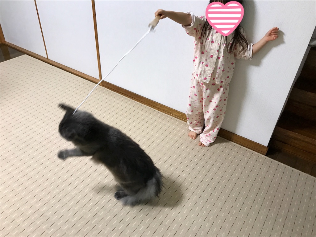 f:id:bellbelona39:20180118084159j:image