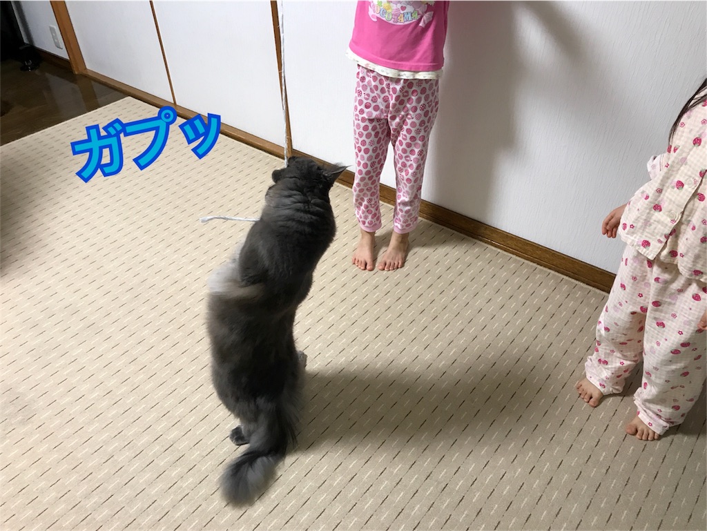 f:id:bellbelona39:20180118084227j:image