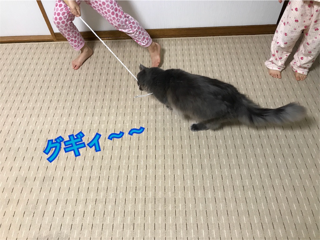 f:id:bellbelona39:20180118084254j:image