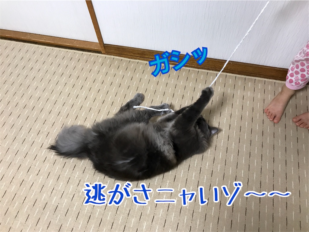 f:id:bellbelona39:20180118085906j:image