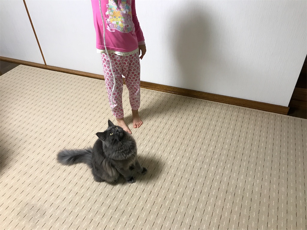 f:id:bellbelona39:20180118090002j:image