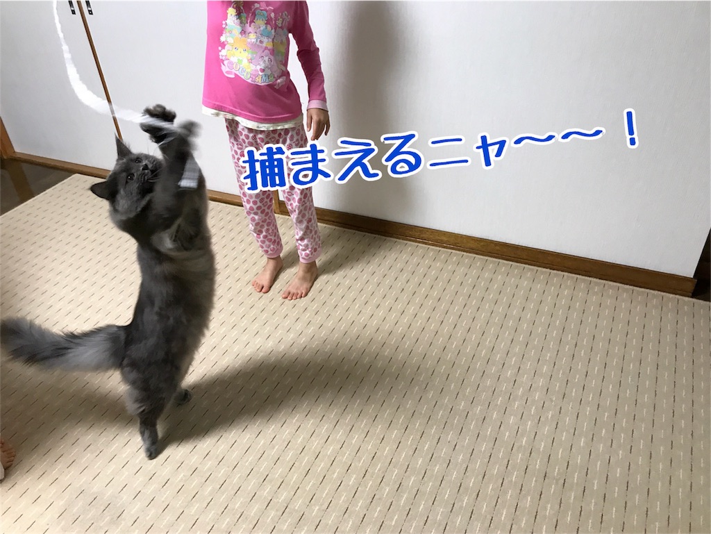 f:id:bellbelona39:20180118090029j:image