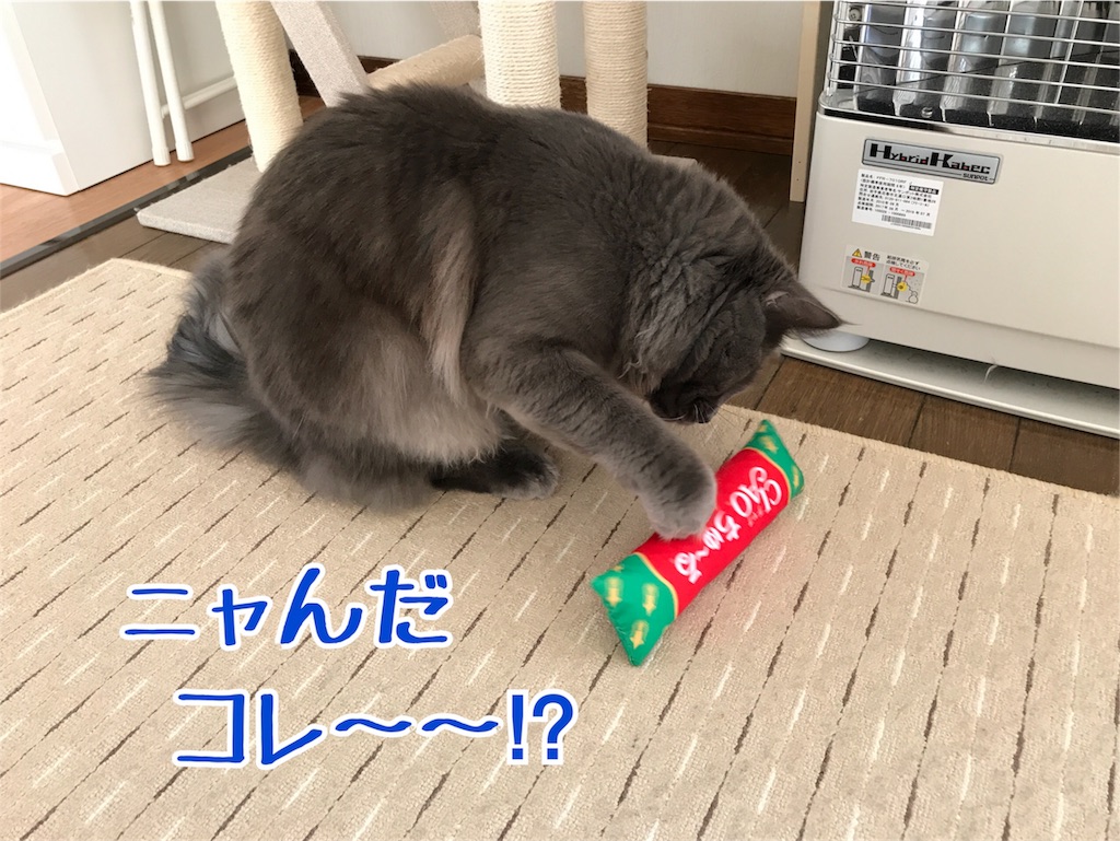 f:id:bellbelona39:20180119104017j:image