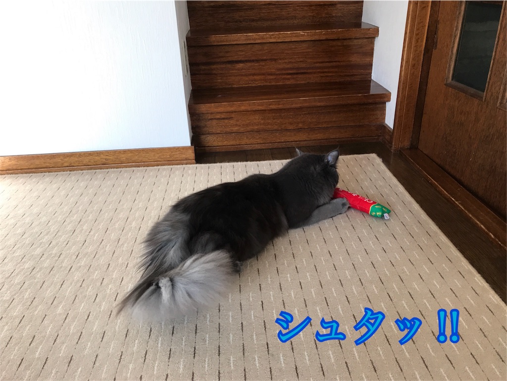 f:id:bellbelona39:20180119104258j:image