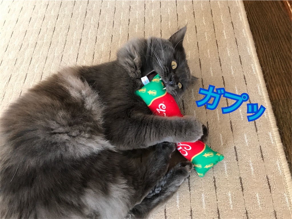 f:id:bellbelona39:20180119104409j:image