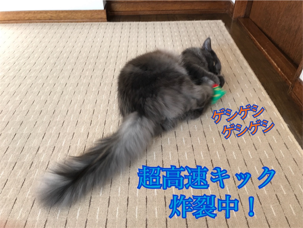 f:id:bellbelona39:20180119104452j:image