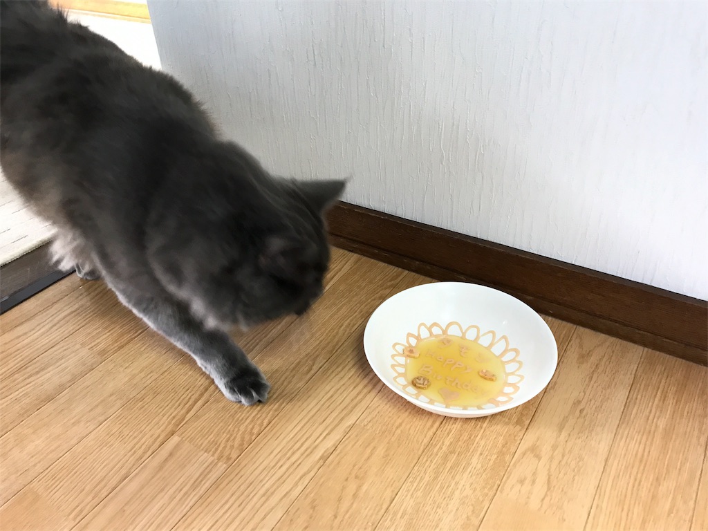 f:id:bellbelona39:20180119144853j:image