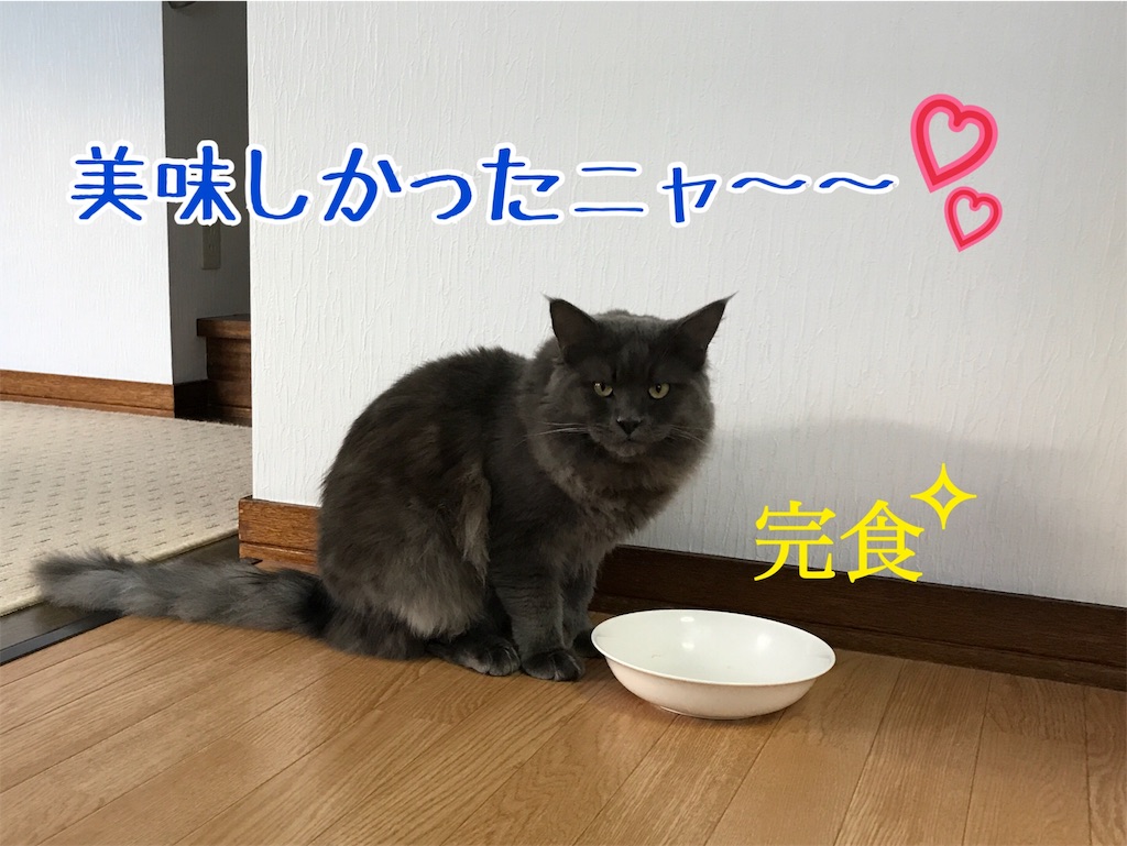 f:id:bellbelona39:20180119144952j:image