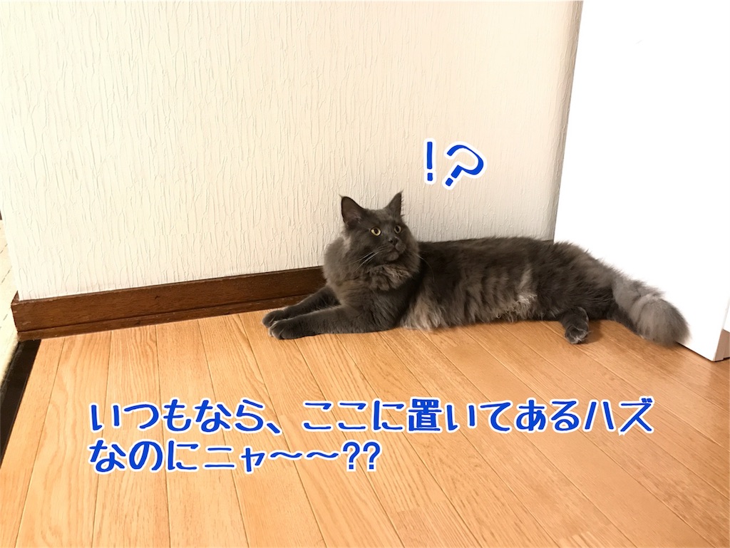 f:id:bellbelona39:20180126091121j:image f:id:bellbelona39:20180126091121j:image