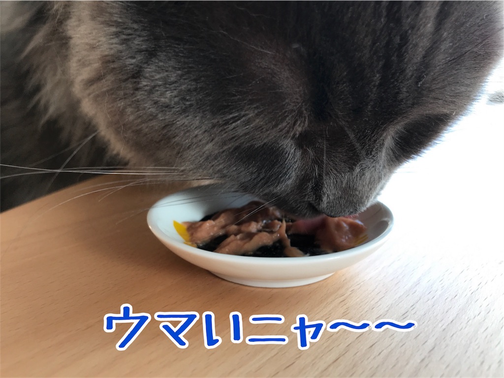 f:id:bellbelona39:20180202065743j:image f:id:bellbelona39:20180202065743j:image