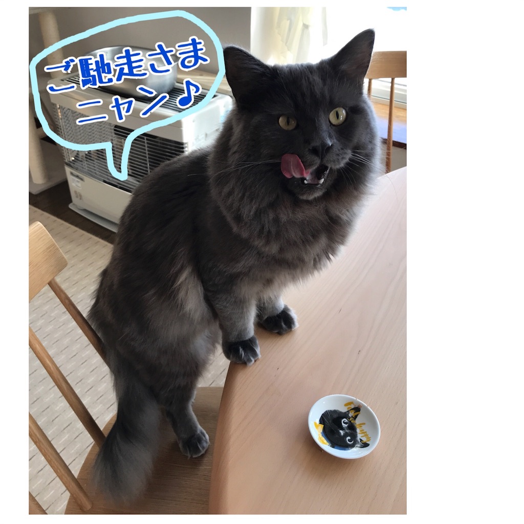 f:id:bellbelona39:20180202070424j:image f:id:bellbelona39:20180202070424j:image