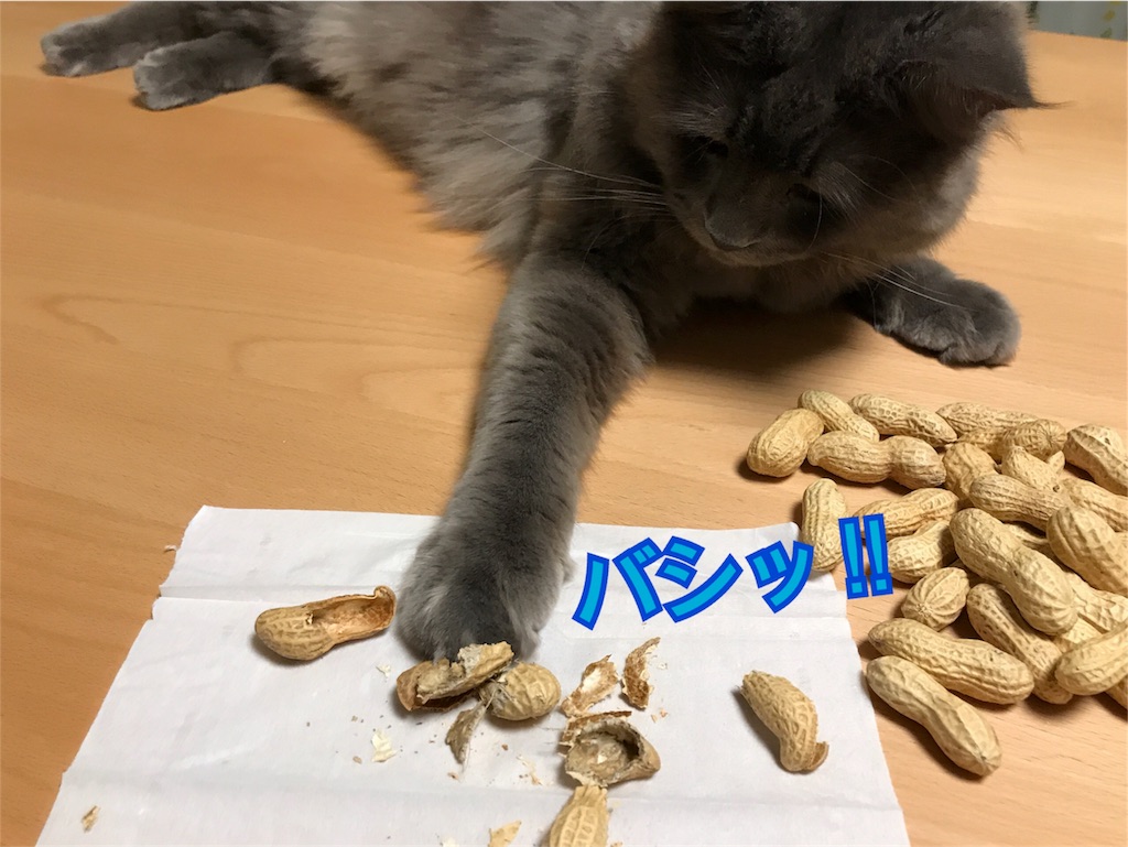 f:id:bellbelona39:20180205132334j:image f:id:bellbelona39:20180205132334j:image