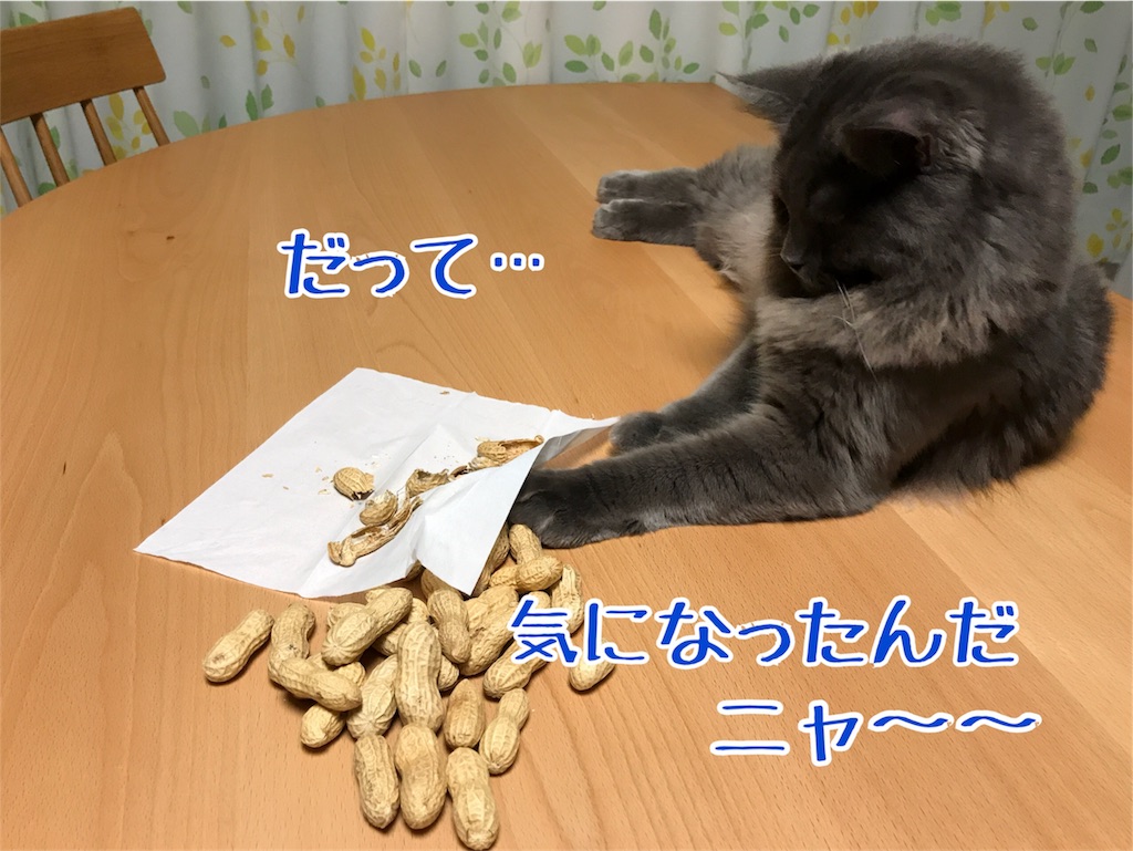 f:id:bellbelona39:20180205132436j:image f:id:bellbelona39:20180205132436j:image