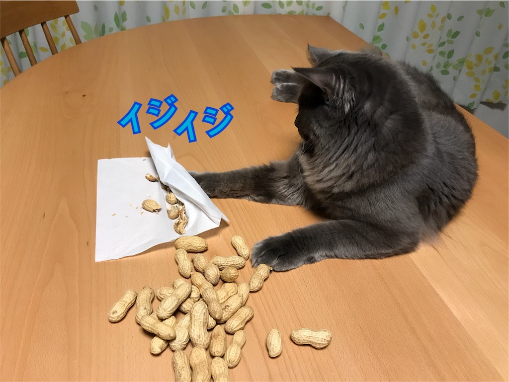 f:id:bellbelona39:20180205132446j:image f:id:bellbelona39:20180205132446j:image