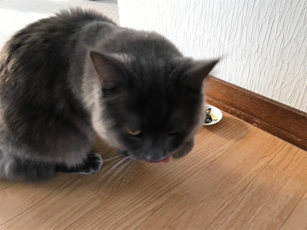 f:id:bellbelona39:20180209153353j:image