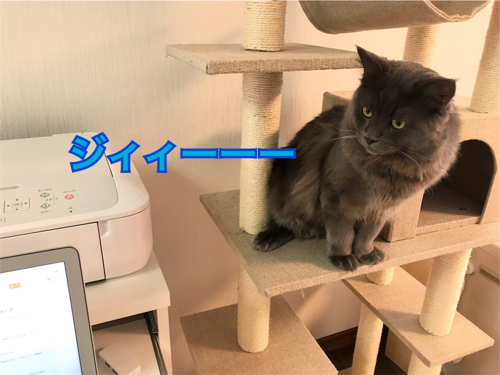 f:id:bellbelona39:20180210131936j:image