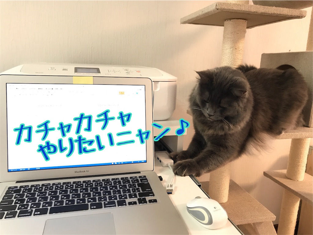 f:id:bellbelona39:20180210132107j:image