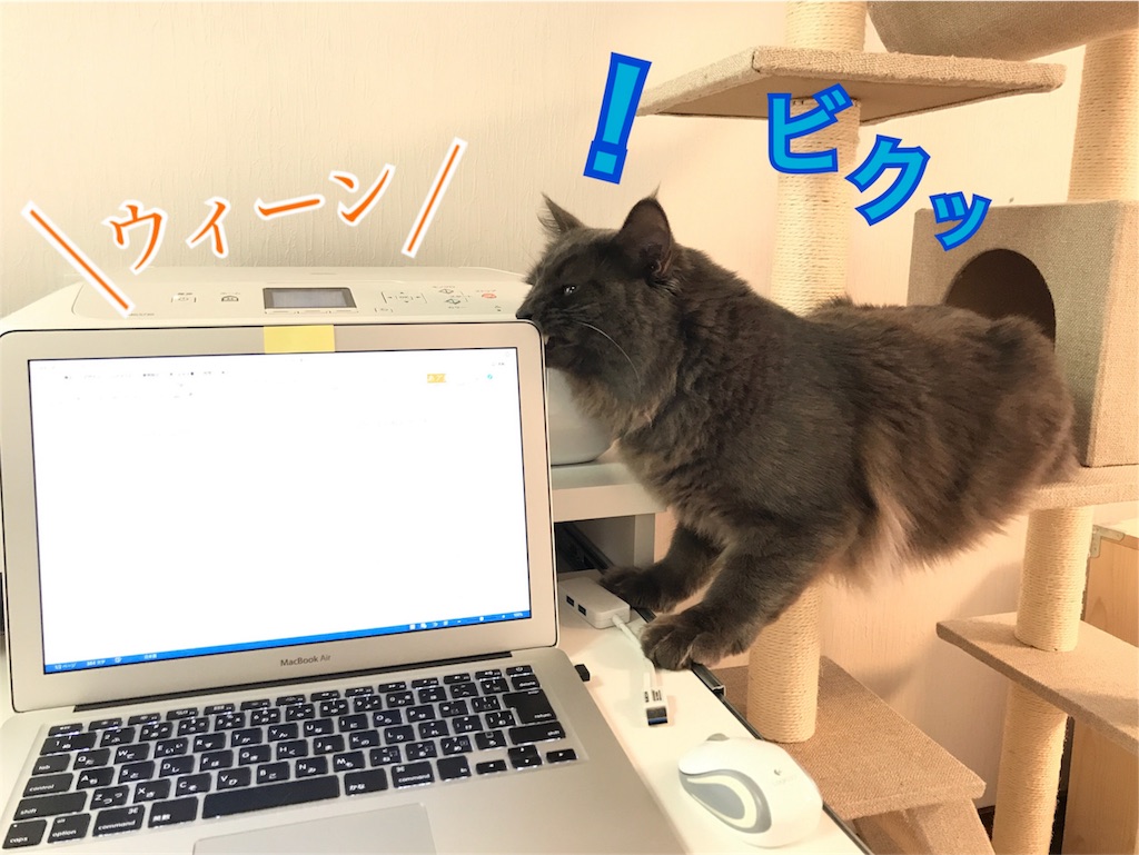 f:id:bellbelona39:20180210132356j:image