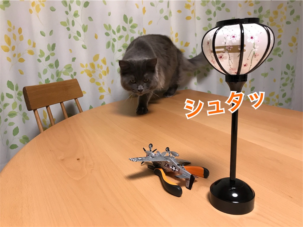 f:id:bellbelona39:20180211011207j:image f:id:bellbelona39:20180211011207j:image