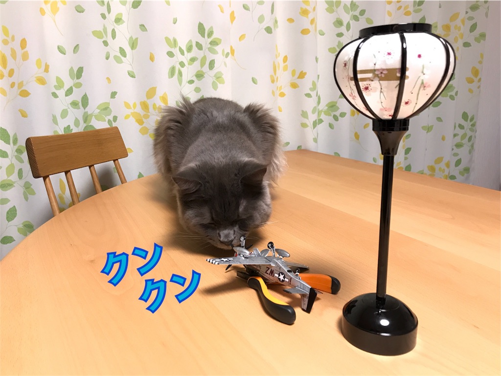 f:id:bellbelona39:20180211011240j:image f:id:bellbelona39:20180211011240j:image