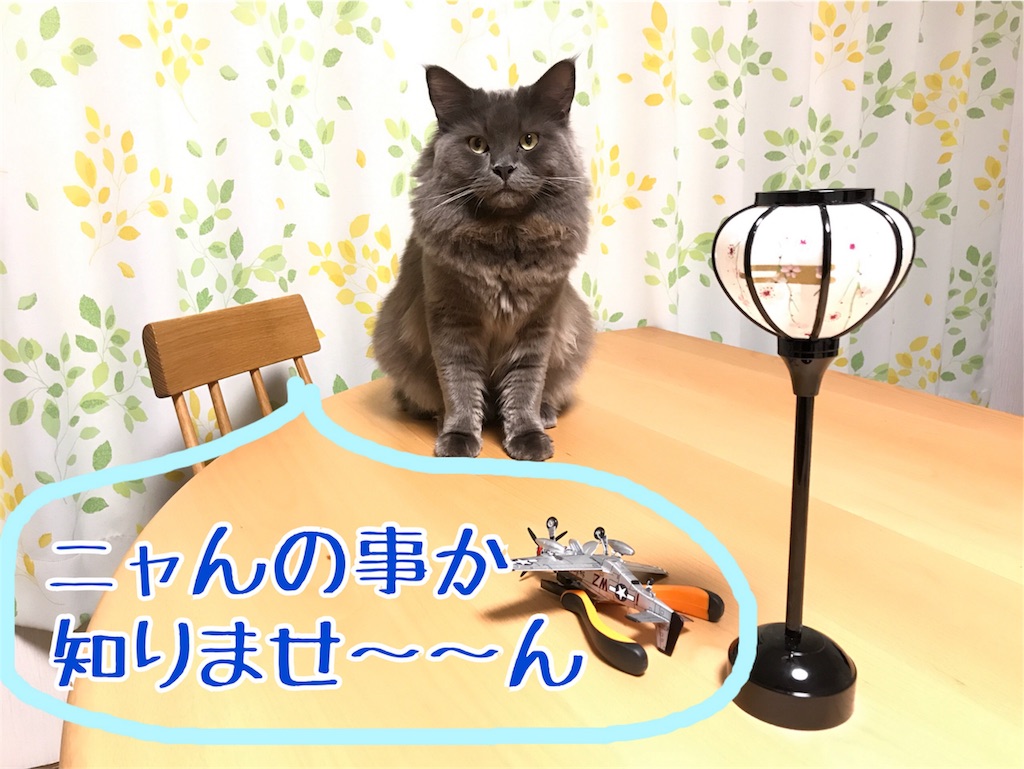 f:id:bellbelona39:20180211011324j:image f:id:bellbelona39:20180211011324j:image