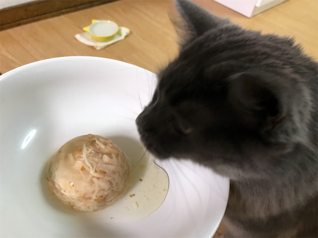 f:id:bellbelona39:20180215065849j:image