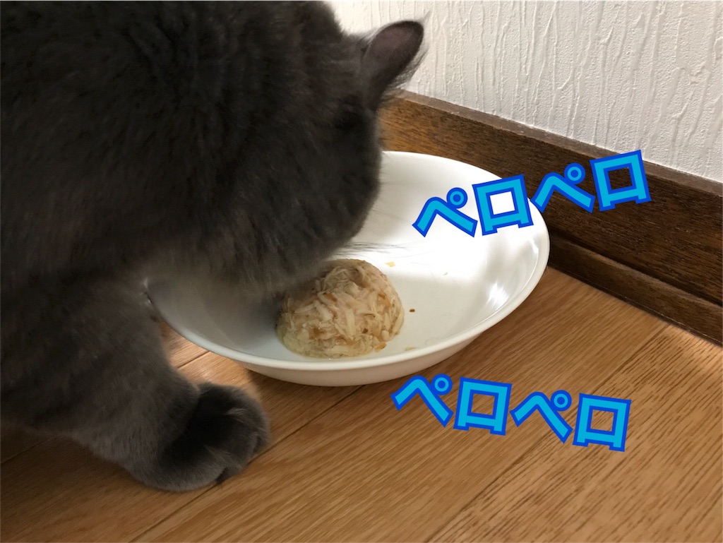 f:id:bellbelona39:20180215070124j:image