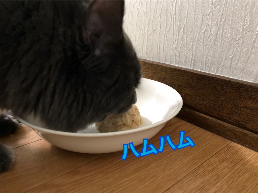 f:id:bellbelona39:20180215094034j:image