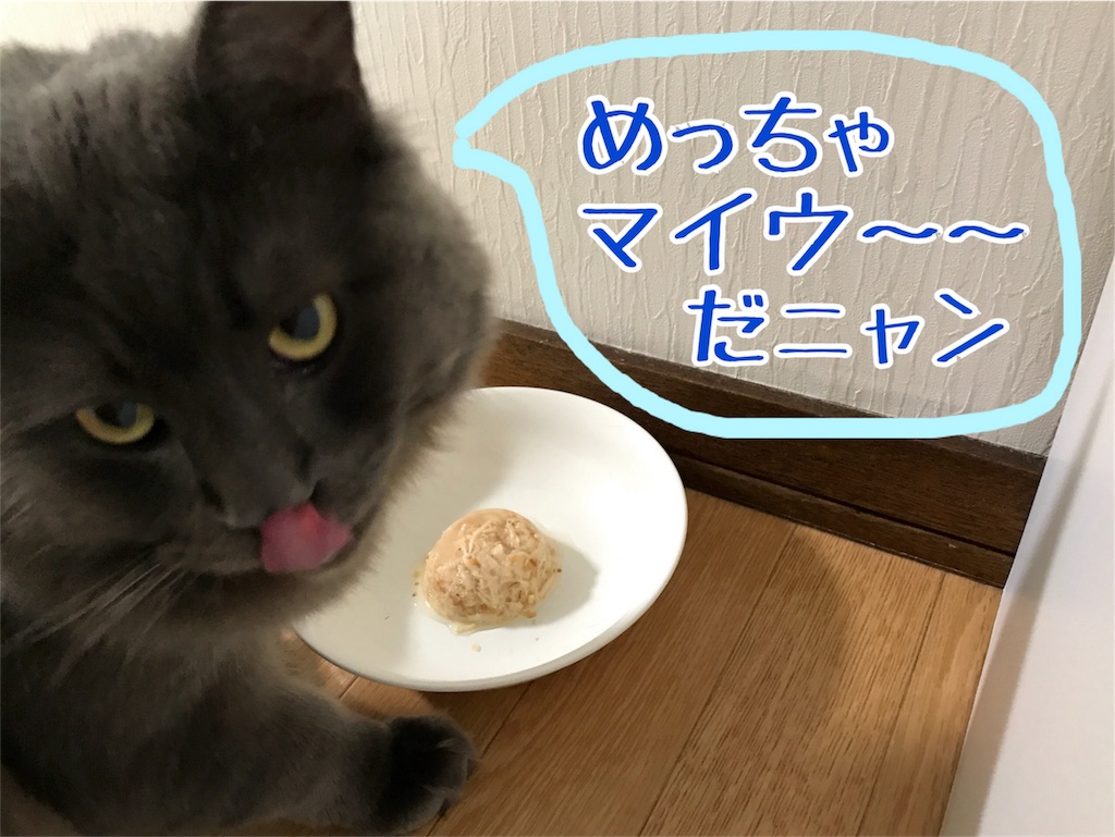 f:id:bellbelona39:20180215094058j:image