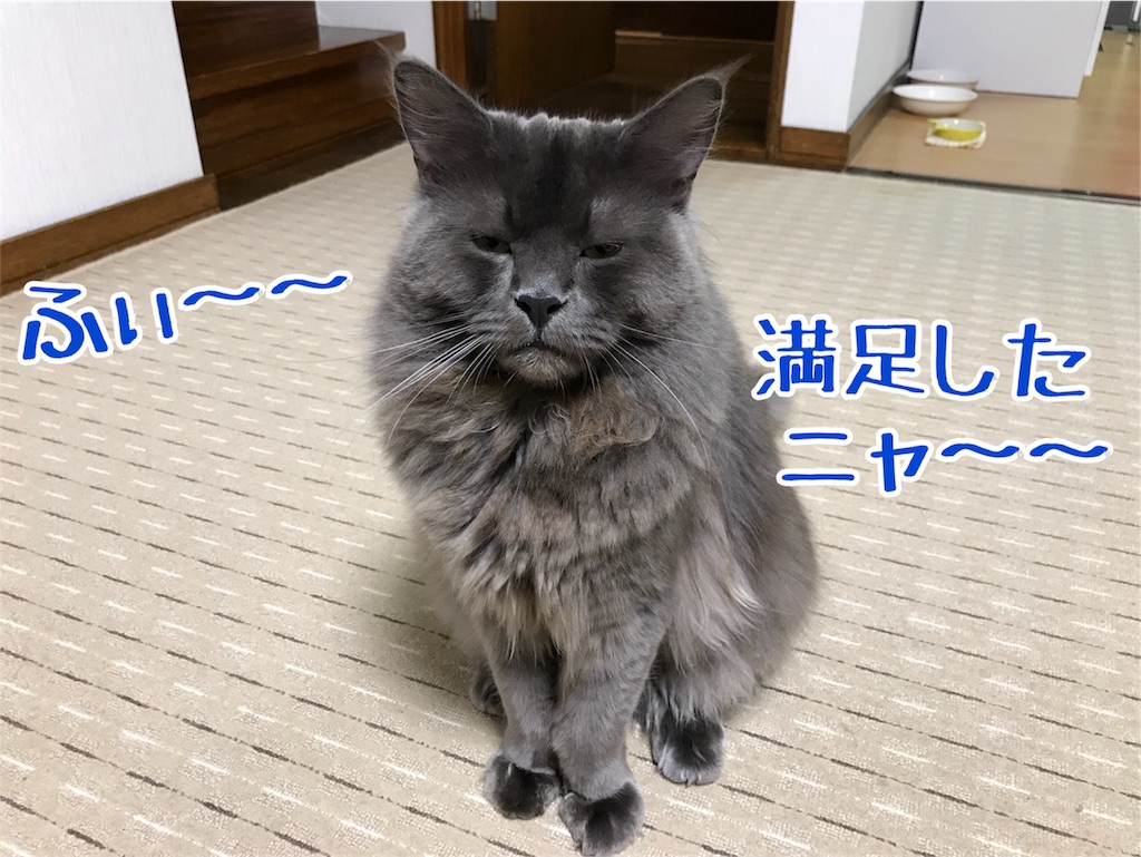 f:id:bellbelona39:20180215094145j:image