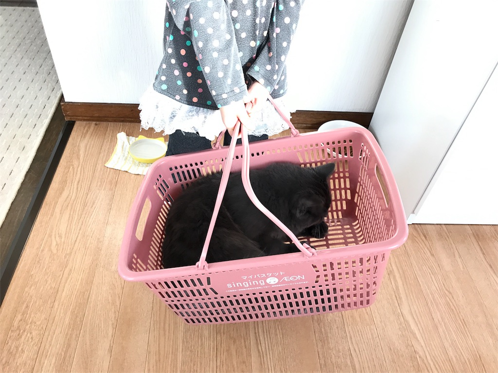 f:id:bellbelona39:20180219123218j:image f:id:bellbelona39:20180219123218j:image