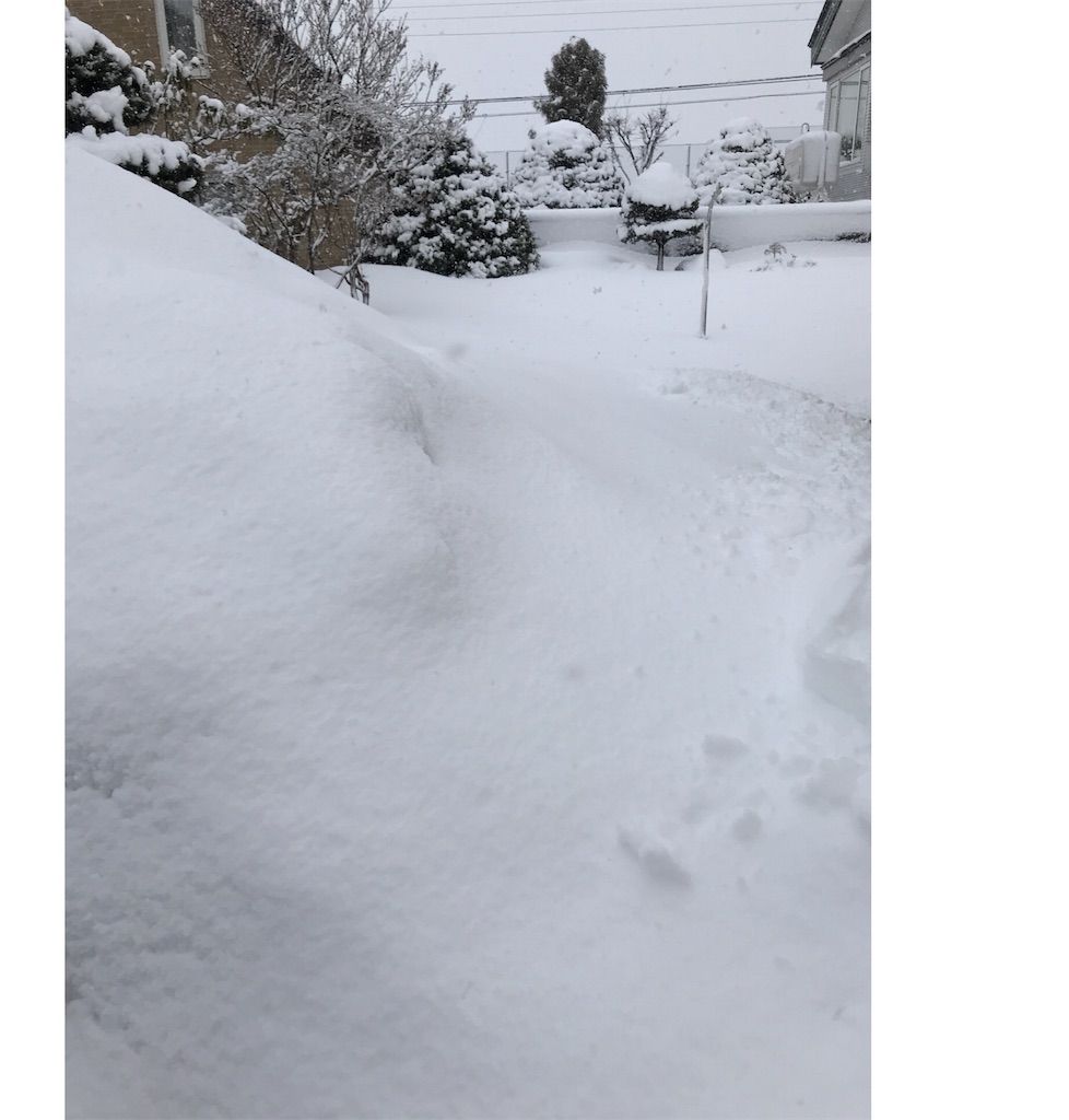 f:id:bellbelona39:20180302052747j:image