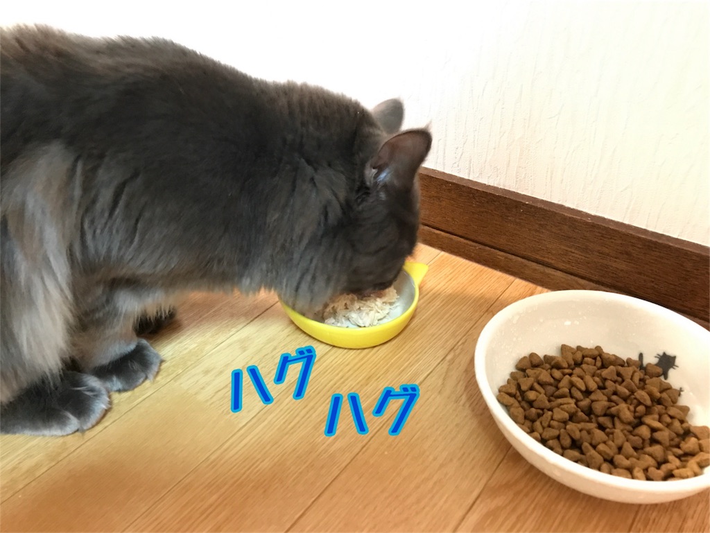 f:id:bellbelona39:20180302200630j:image f:id:bellbelona39:20180302200630j:image