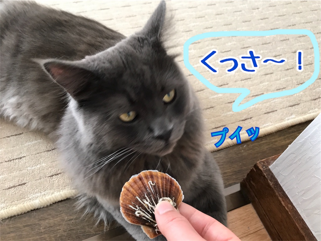 f:id:bellbelona39:20180303102845j:image