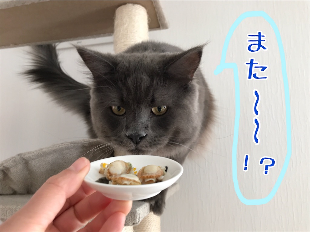 f:id:bellbelona39:20180303231306j:image